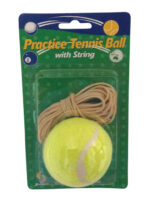 Practice Tennis Ball